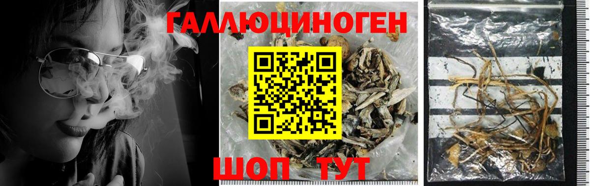 Псилоцибиновые грибы MAGIC MUSHROOMS Краснодар